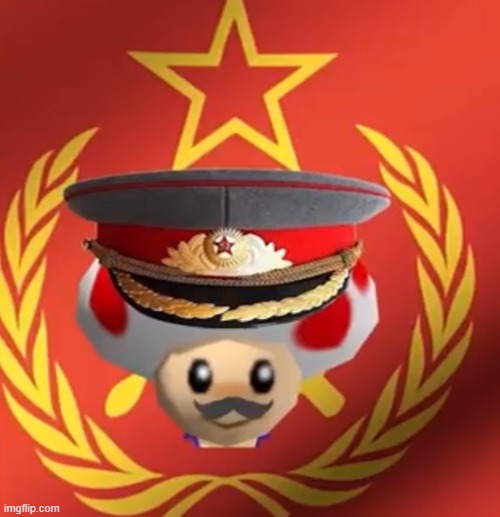 idfk | image tagged in soviet toad | made w/ Imgflip meme maker