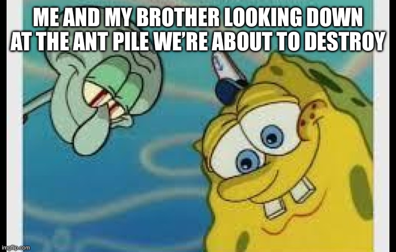 Spongebob and Squidward looking down on pizza | ME AND MY BROTHER LOOKING DOWN AT THE ANT PILE WE’RE ABOUT TO DESTROY | image tagged in spongebob and squidward looking down on pizza | made w/ Imgflip meme maker