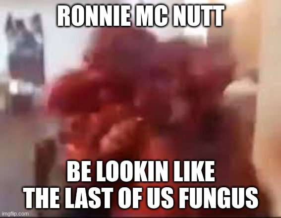 Rip Ronnie, I feel bad making a meme about this. | RONNIE MC NUTT; BE LOOKIN LIKE THE LAST OF US FUNGUS | image tagged in ronnie | made w/ Imgflip meme maker