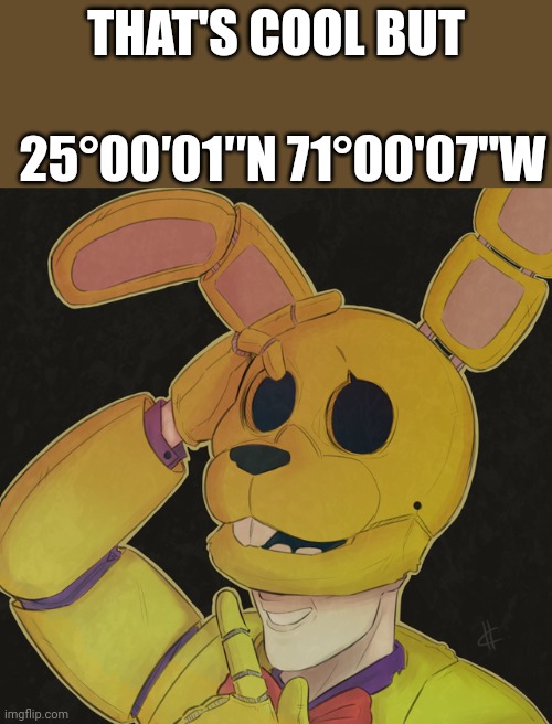 ? | THAT'S COOL BUT; 25°00′01″N 71°00'07"W | made w/ Imgflip meme maker
