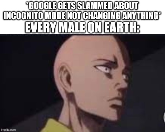 Concerned saitama | *GOOGLE GETS SLAMMED ABOUT INCOGNITO MODE NOT CHANGING ANYTHING*; EVERY MALE ON EARTH: | image tagged in concerned saitama,incognito,website,google,men | made w/ Imgflip meme maker