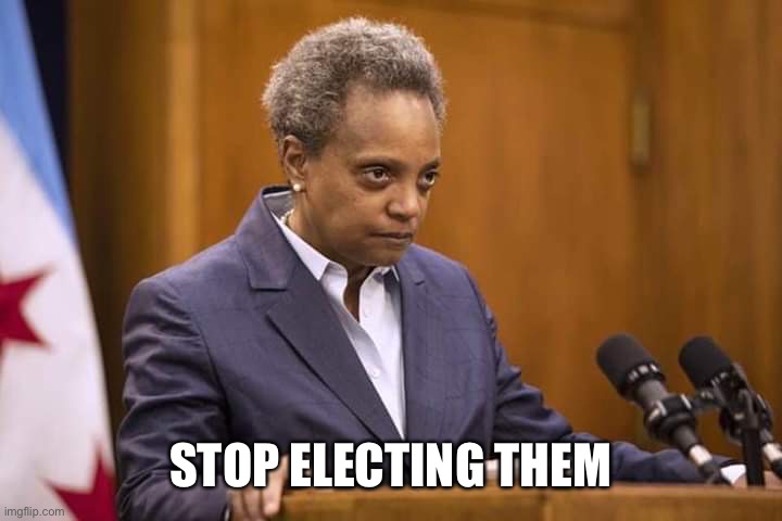 Mayor Chicago | STOP ELECTING THEM | image tagged in mayor chicago | made w/ Imgflip meme maker