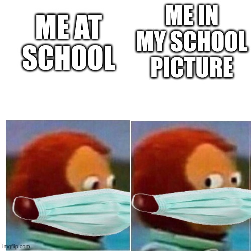 ME AT SCHOOL; ME IN MY SCHOOL PICTURE | image tagged in monkey puppet,monkey looking away,face mask,school,bruh moment,jokes | made w/ Imgflip meme maker