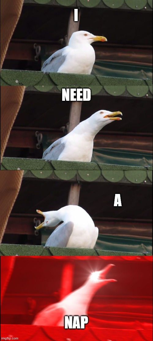 Inhaling Seagull Meme | I; NEED; A; NAP | image tagged in memes,inhaling seagull | made w/ Imgflip meme maker