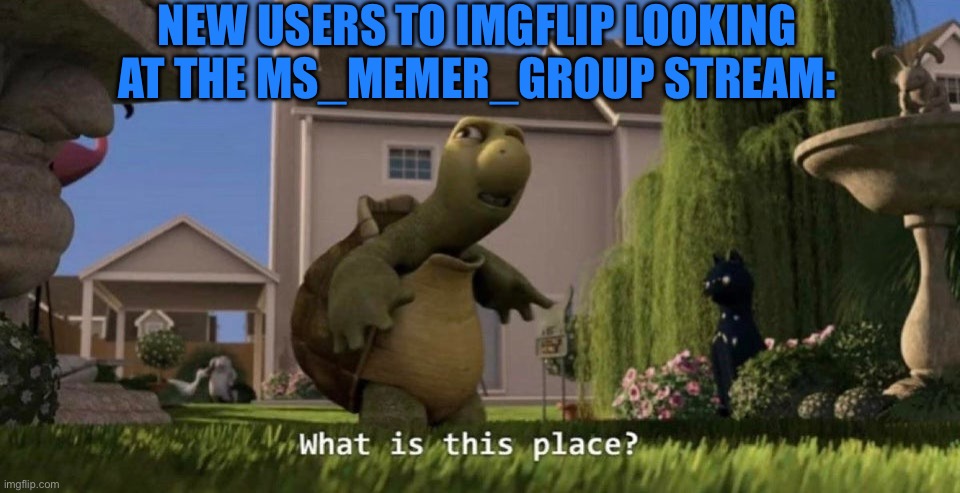 What is this place | NEW USERS TO IMGFLIP LOOKING AT THE MS_MEMER_GROUP STREAM: | image tagged in what is this place | made w/ Imgflip meme maker