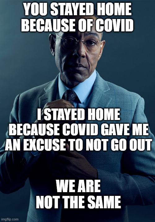 Gaming | YOU STAYED HOME BECAUSE OF COVID; I STAYED HOME BECAUSE COVID GAVE ME AN EXCUSE TO NOT GO OUT; WE ARE NOT THE SAME | image tagged in gus fring we are not the same,gaming,playing,introvert | made w/ Imgflip meme maker