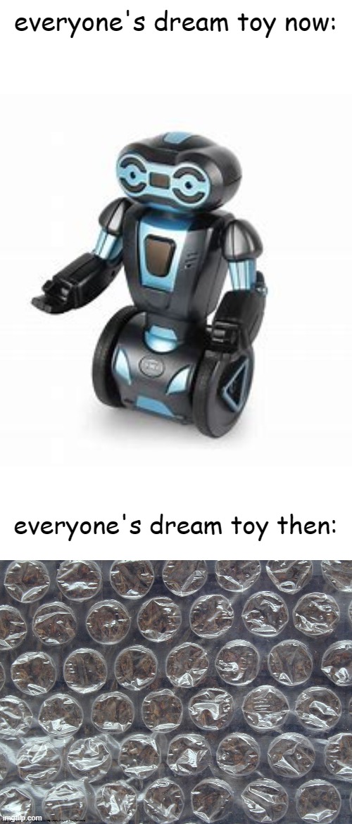 only chads understand. | everyone's dream toy now:; everyone's dream toy then: | image tagged in bubble wrap | made w/ Imgflip meme maker