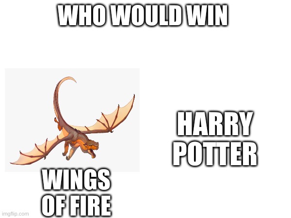 wof or harry potter | WHO WOULD WIN; WINGS OF FIRE; HARRY POTTER | image tagged in memes | made w/ Imgflip meme maker