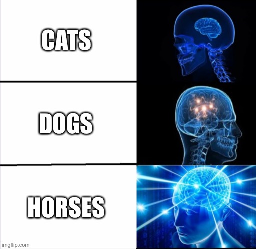 Galaxy Brain (3 brains) | CATS; DOGS; HORSES | image tagged in galaxy brain 3 brains | made w/ Imgflip meme maker