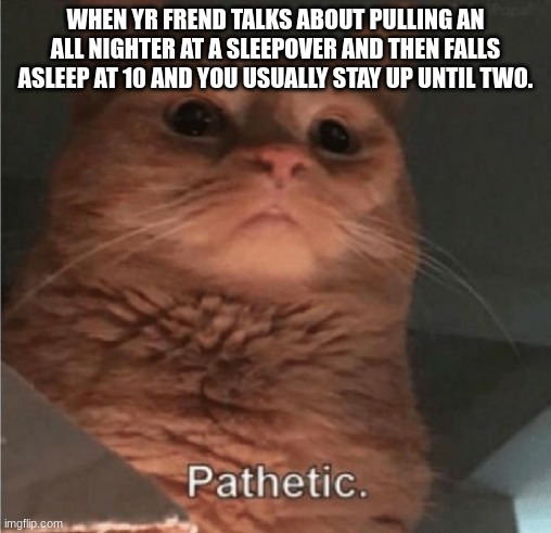 *insert creative title here* | WHEN YR FRIEND TALKS ABOUT PULLING AN ALL-NIGHTER AT A SLEEPOVER AND THEN FALLING ASLEEP AT 10 AND YOU USUALLY STAY UP UNTIL TWO. | image tagged in pathetic cat | made w/ Imgflip meme maker