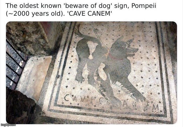 The more you know… | image tagged in memes,funny,dogs | made w/ Imgflip meme maker