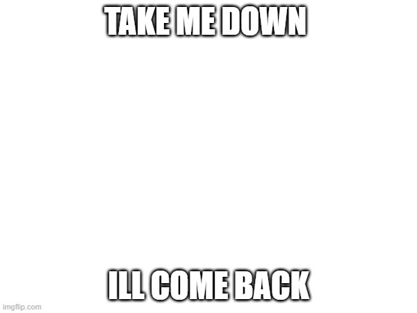 you have a enemy | TAKE ME DOWN; ILL COME BACK | image tagged in ill come back | made w/ Imgflip meme maker