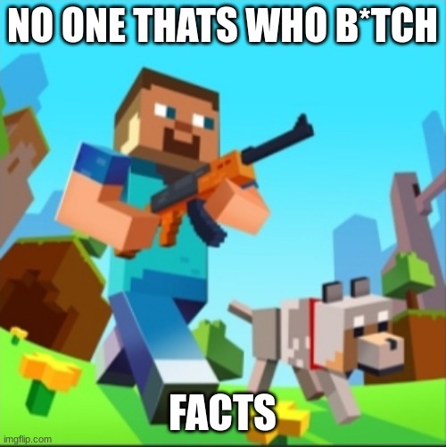Minecraft Steve with gun | NO ONE THATS WHO B*TCH FACTS | image tagged in minecraft steve with gun | made w/ Imgflip meme maker