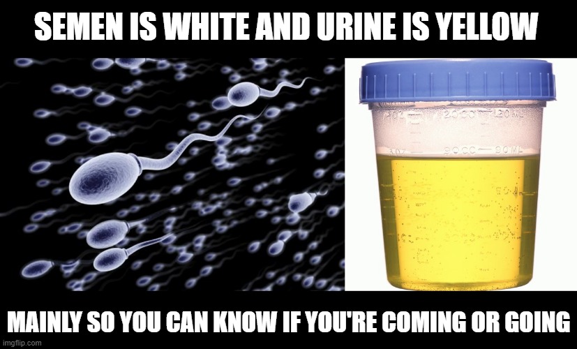 Colors | SEMEN IS WHITE AND URINE IS YELLOW; MAINLY SO YOU CAN KNOW IF YOU'RE COMING OR GOING | image tagged in sperm swimming,urine sample | made w/ Imgflip meme maker