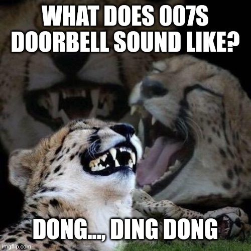 Laughing | WHAT DOES 007S DOORBELL SOUND LIKE? DONG..., DING DONG | image tagged in laughing,funny memes | made w/ Imgflip meme maker