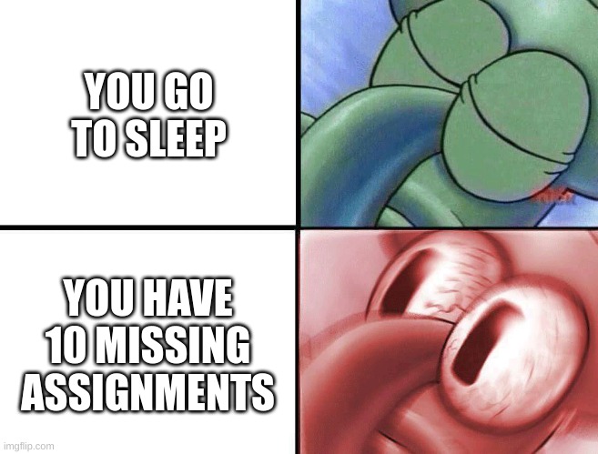 sleeping Squidward | YOU GO TO SLEEP; YOU HAVE 10 MISSING ASSIGNMENTS | image tagged in sleeping squidward | made w/ Imgflip meme maker