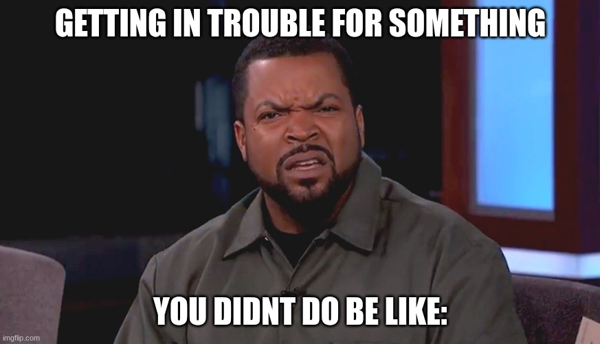 Really? Ice Cube | GETTING IN TROUBLE FOR SOMETHING; YOU DIDNT DO BE LIKE: | image tagged in really ice cube | made w/ Imgflip meme maker