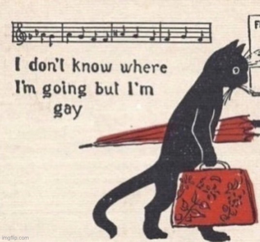 Idk where I'm going but I'm gay | image tagged in idk where i'm going but i'm gay | made w/ Imgflip meme maker