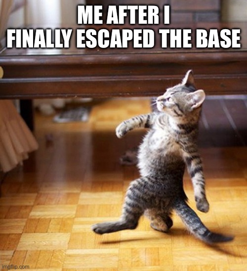 Cat Walking Like A Boss | ME AFTER I FINALLY ESCAPED THE BASEMENT | image tagged in cat walking like a boss | made w/ Imgflip meme maker