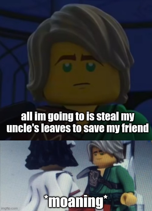 all im going to is steal my uncle's leaves to save my friend; *moaning* | image tagged in hello cole,dont pause ninjago | made w/ Imgflip meme maker