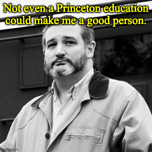 Ted Cruz Beard | Not even a Princeton education could make me a good person. | image tagged in ted cruz beard | made w/ Imgflip meme maker