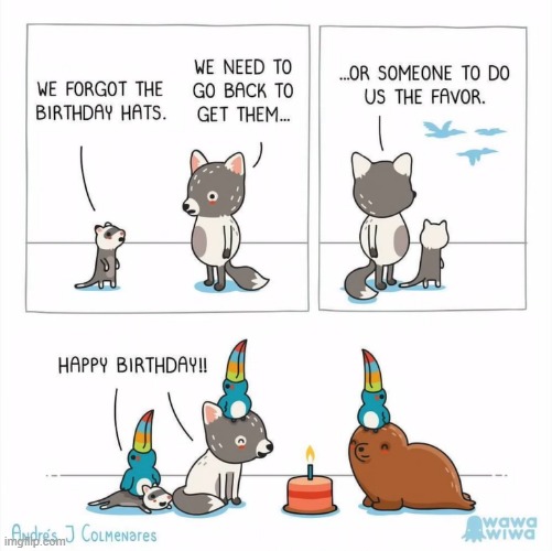 image tagged in possum,fox,toucans,seal,birthday,hats | made w/ Imgflip meme maker