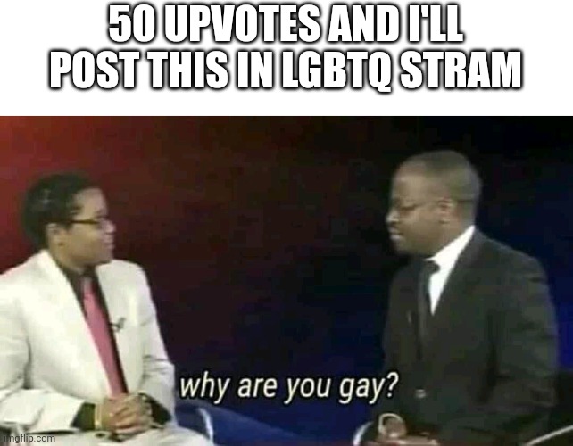 We do a minor amount of tomfoolery |  50 UPVOTES AND I'LL POST THIS IN LGBTQ STRAM | image tagged in why are you gay | made w/ Imgflip meme maker