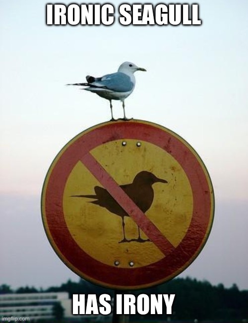 Seagull on top of "no seagull" sign | IRONIC SEAGULL; HAS IRONY | image tagged in seagull on top of no seagull sign | made w/ Imgflip meme maker