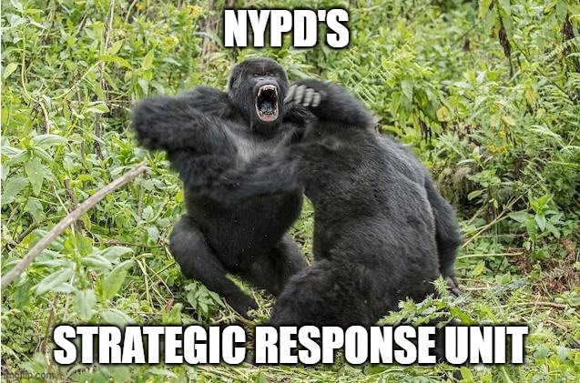 NYPD's strategic response unit | NYPD'S; STRATEGIC RESPONSE UNIT | made w/ Imgflip meme maker