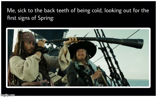 image tagged in pirates,pirate,memes,funny,repost,spring | made w/ Imgflip meme maker