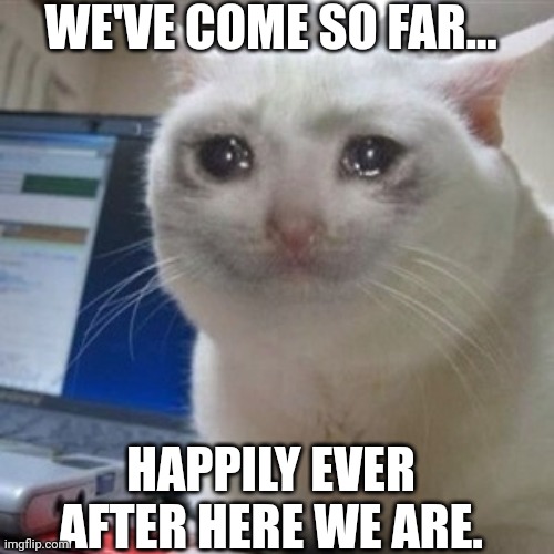 Crying cat | WE'VE COME SO FAR... HAPPILY EVER AFTER HERE WE ARE. | image tagged in crying cat | made w/ Imgflip meme maker