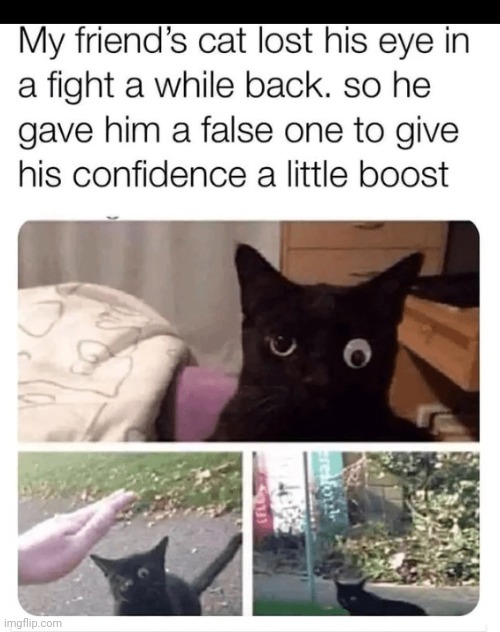 image tagged in cats,black cat,satan | made w/ Imgflip meme maker