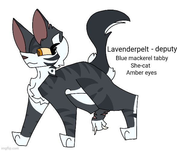 Lavenderpelt of Dawnclan | made w/ Imgflip meme maker