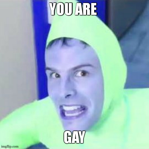 Im gay! (Idubbz) | YOU ARE GAY | image tagged in im gay idubbz | made w/ Imgflip meme maker