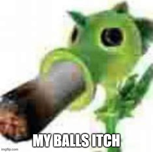 MY BALLS ITCH | made w/ Imgflip meme maker