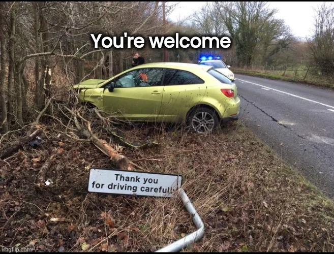 Too busy reading the sign | You're welcome | image tagged in idiots in cars,don't text and drive,pay attention,have a nice day,task failed successfully | made w/ Imgflip meme maker
