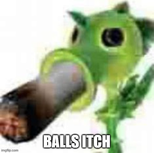 BALLS ITCH | made w/ Imgflip meme maker