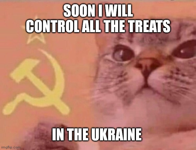 Communist cat | SOON I WILL CONTROL ALL THE TREATS; IN THE UKRAINE | image tagged in communist cat | made w/ Imgflip meme maker
