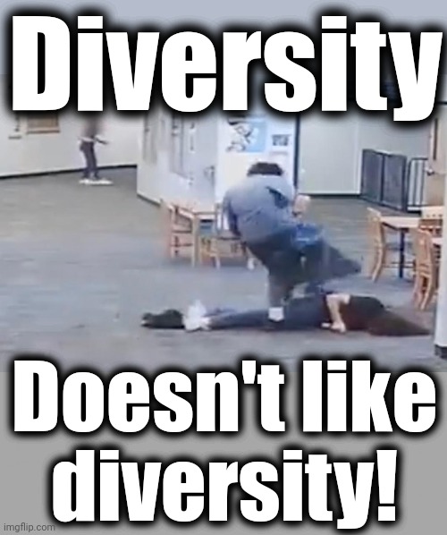 Fact | Diversity; Doesn't like
diversity! | image tagged in diversity,meme,democrats,joe biden,schools,crime | made w/ Imgflip meme maker