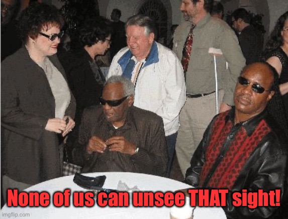 Ray Charles and Stevie Wonder | None of us can unsee THAT sight! | image tagged in ray charles and stevie wonder | made w/ Imgflip meme maker
