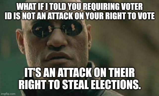 And by they I mean the swamp. | WHAT IF I TOLD YOU REQUIRING VOTER ID IS NOT AN ATTACK ON YOUR RIGHT TO VOTE; IT'S AN ATTACK ON THEIR RIGHT TO STEAL ELECTIONS. | image tagged in memes,matrix morpheus,voting,politics,shawnljohnson,voter fraud | made w/ Imgflip meme maker
