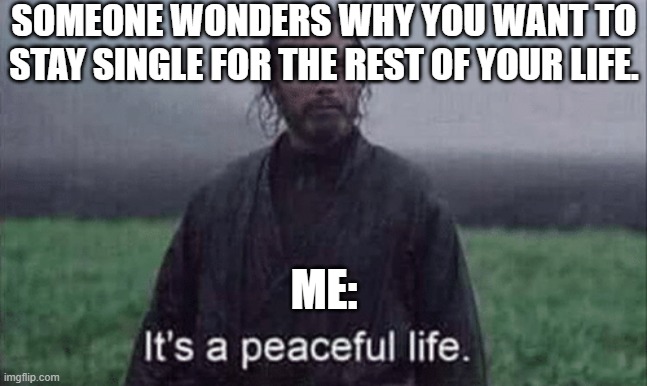 It’s a peaceful life | SOMEONE WONDERS WHY YOU WANT TO STAY SINGLE FOR THE REST OF YOUR LIFE. ME: | image tagged in it s a peaceful life | made w/ Imgflip meme maker