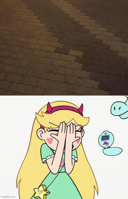 Just why. | image tagged in star butterfly severe facepalm,star vs the forces of evil,you had one job,design fails,failure,memes | made w/ Imgflip meme maker