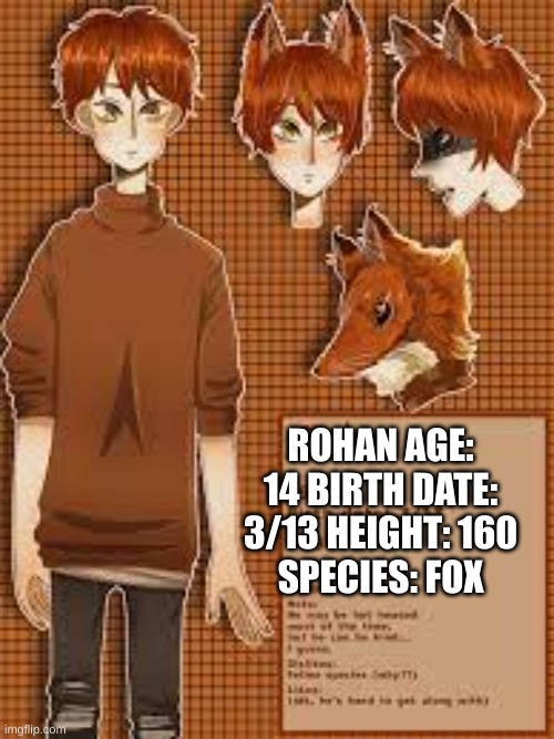 foxxxxxxxxx | ROHAN AGE: 14 BIRTH DATE: 3/13 HEIGHT: 160
SPECIES: FOX | image tagged in fox | made w/ Imgflip meme maker