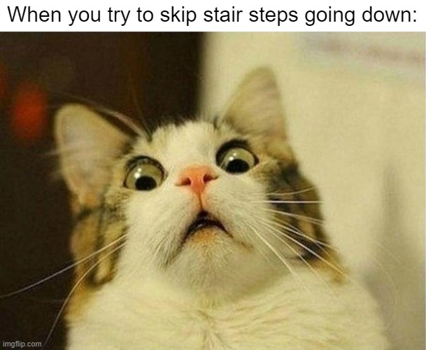 OH FRiCC | When you try to skip stair steps going down: | image tagged in memes,scared cat,oh no,funny,relatable memes,stairs | made w/ Imgflip meme maker