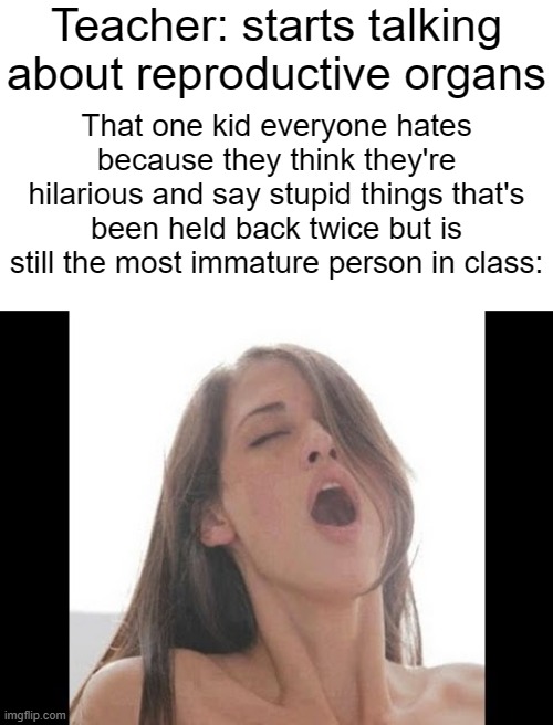 Oddly specific, but could you not moan obnoxiously and erotically FOR 5 MINUTES? |  Teacher: starts talking about reproductive organs; That one kid everyone hates because they think they're hilarious and say stupid things that's been held back twice but is still the most immature person in class: | image tagged in moaning woman | made w/ Imgflip meme maker