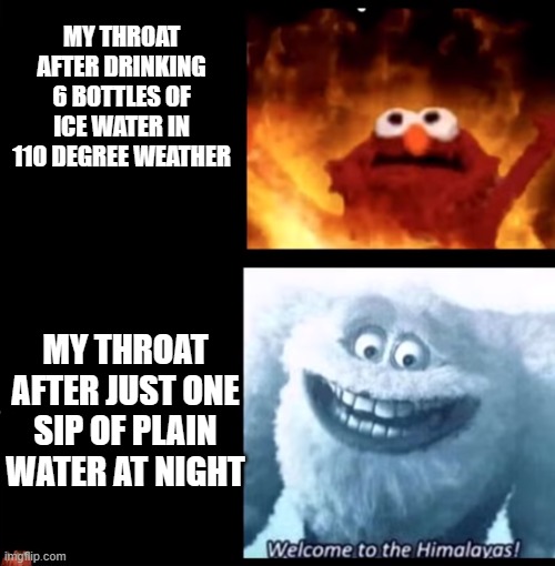 I hate my throat, as well as the rest of my body | MY THROAT AFTER DRINKING 6 BOTTLES OF ICE WATER IN 110 DEGREE WEATHER; MY THROAT AFTER JUST ONE SIP OF PLAIN WATER AT NIGHT | image tagged in hot and cold,dry,memes,funny memes,relatable memes,heat | made w/ Imgflip meme maker