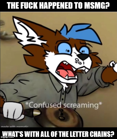 Mod: lol, don't know, but let's keep doing it | THE FUCK HAPPENED TO MSMG? WHAT'S WITH ALL OF THE LETTER CHAINS? | image tagged in confused furry screaming | made w/ Imgflip meme maker