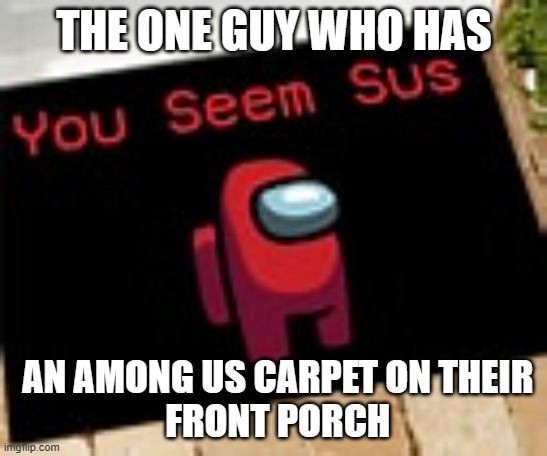 THE ONE GUY WHO HAS; AN AMONG US CARPET ON THEIR
 FRONT PORCH | image tagged in among us | made w/ Imgflip meme maker