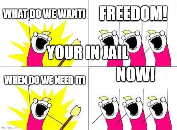 What Do We Want Meme | WHAT DO WE WANT! FREEDOM! YOUR IN JAIL; NOW! WHEN DO WE NEED IT! | image tagged in memes,what do we want | made w/ Imgflip meme maker